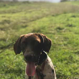 Meet your Posher, Thomas